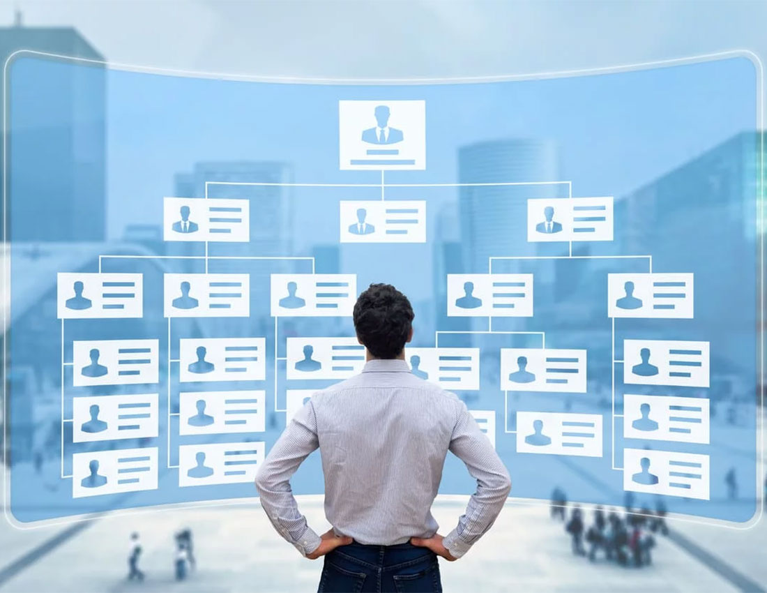 person looking at a virtual org chart